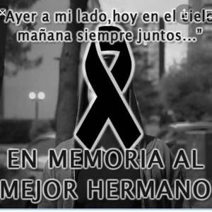 Meet your Posher, Luz mery